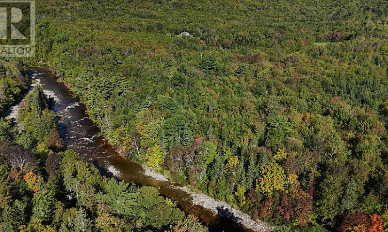 Oregon Road North Ri...