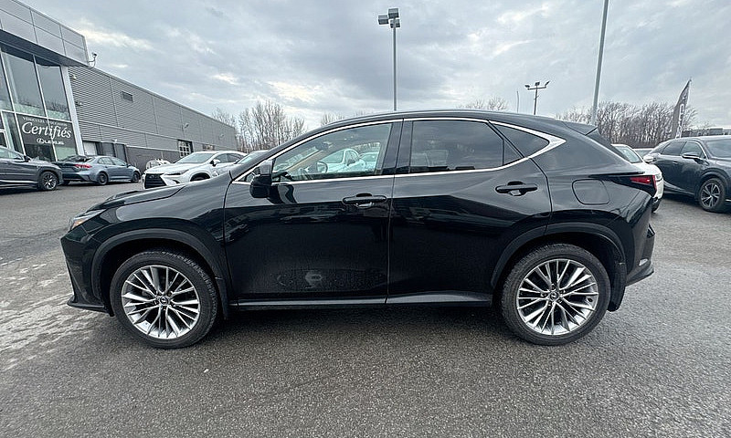 2026 Lexus Nx 350 / ...