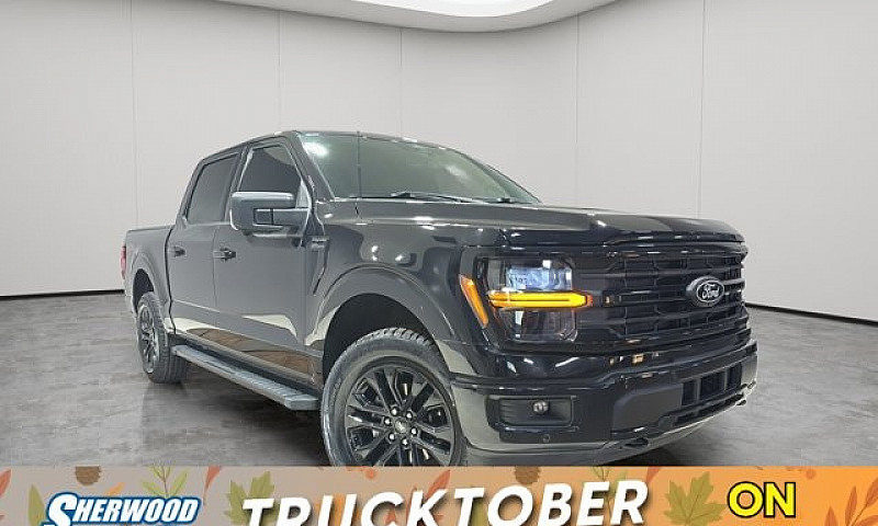 2024 Ford F-150 Xlt ...