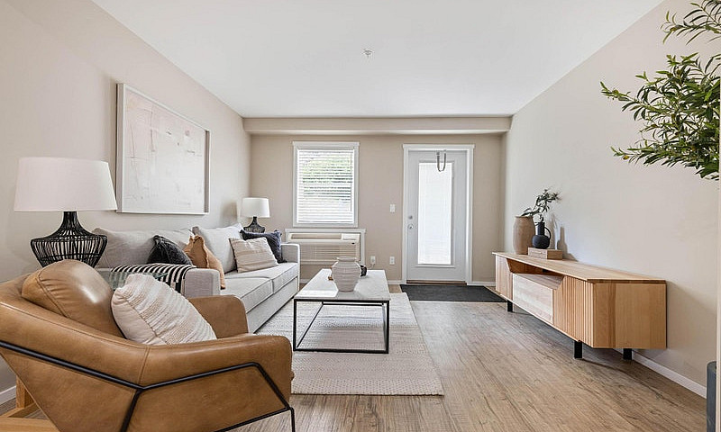 Pet-Friendly One Bed...