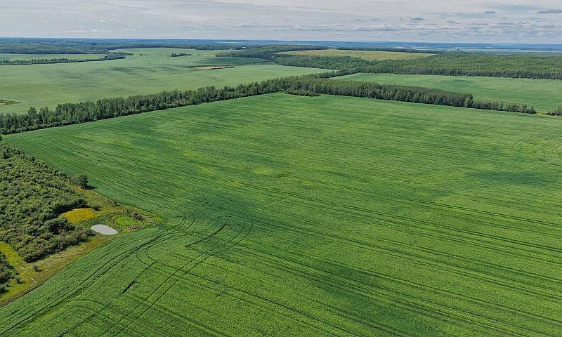 2,097 Acres | Rose P...