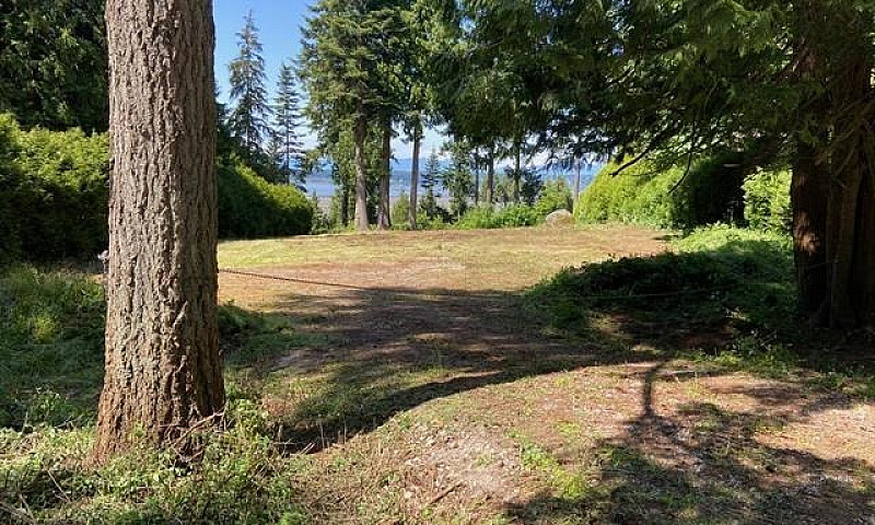 13005 Crescent Road ...