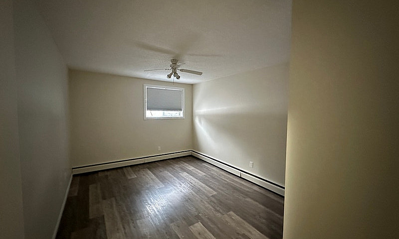 1 Bedroom 1 Bath Apa...