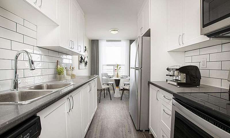 1 Bedroom Apartment ...