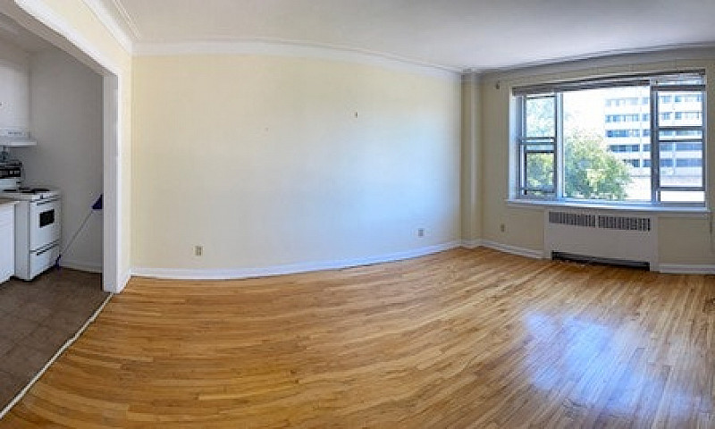 Beautiful 1 Bedroom ...