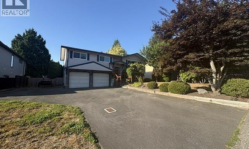 19852 116A Avenue Pi...