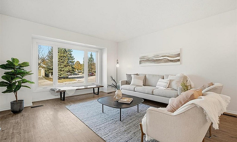10 Hamilton Meadows ...