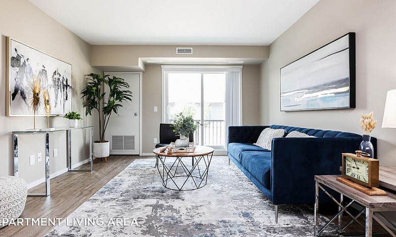 Pet-Friendly Three B...