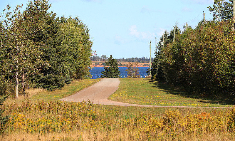 1 Acre Level Treed I...