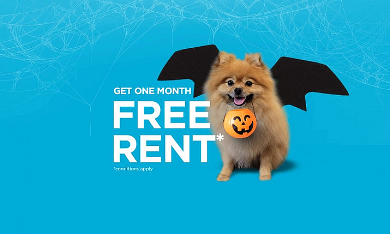 Pet-Friendly One Bed...
