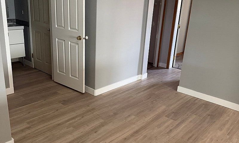 3 Bedroom Basement S...