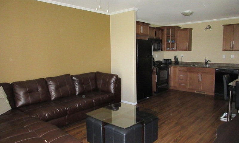 2 Bedroom Walk-Out T...