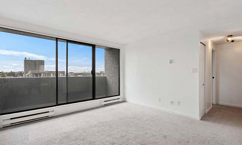 Immaculate Suite Wit...
