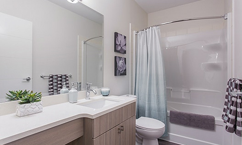 1 Bedroom Suites In ...