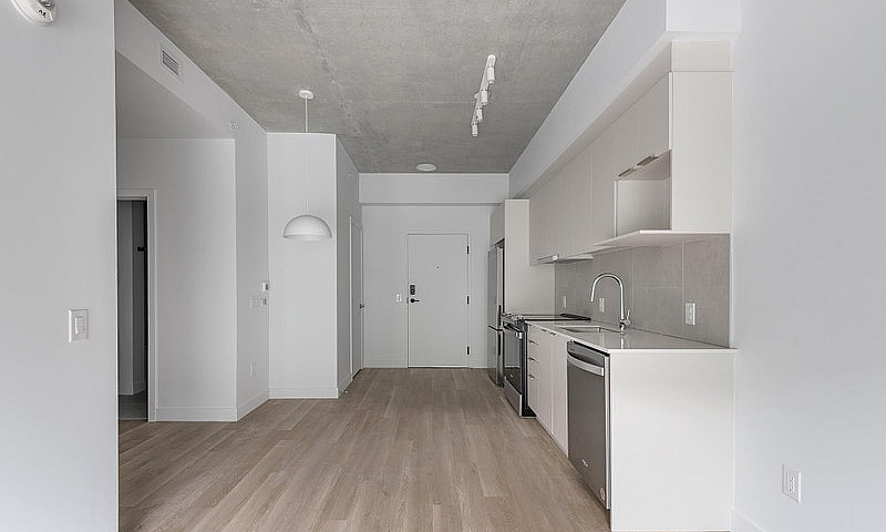 1 Bedroom Apartment ...