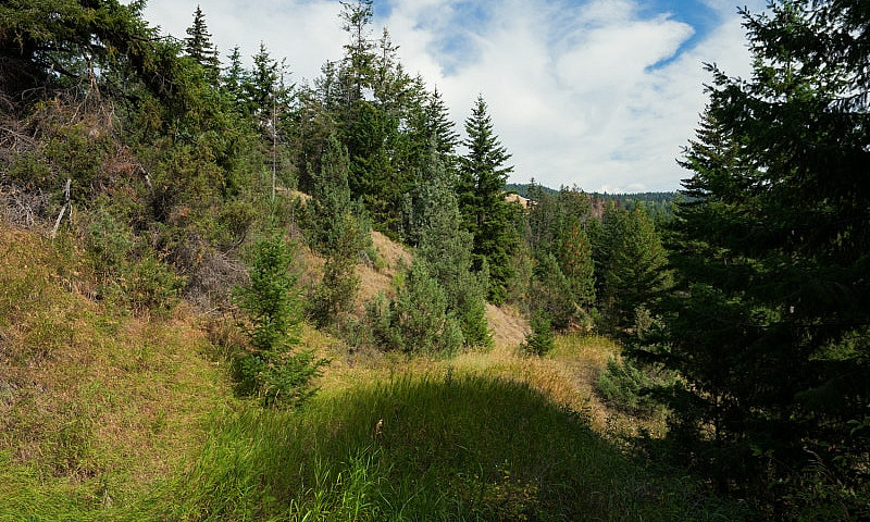 Panoramic Views On 4...