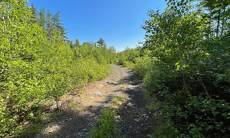 2.25 Acres With Driv...