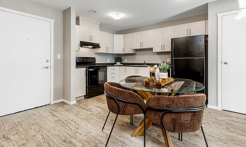 Pet-Friendly One Bed...