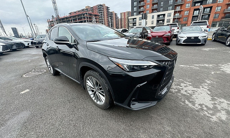 2026 Lexus Nx 350 / ...