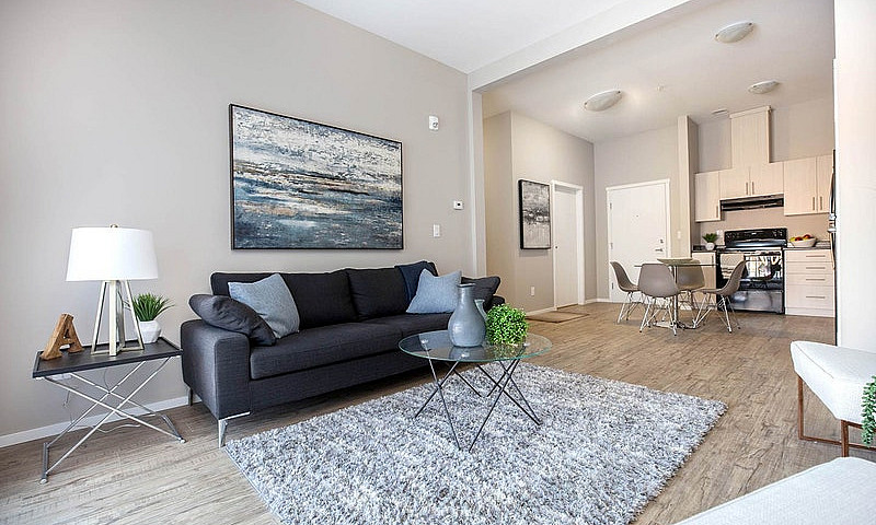 Pet-Friendly Three B...