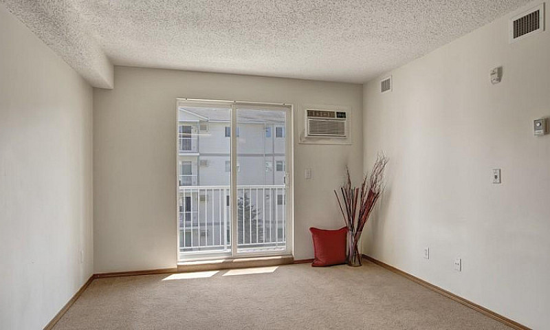 Spacious 1 Bedroom A...