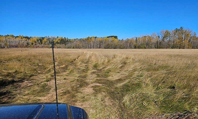 Vacant 17.5 Acre Riv...