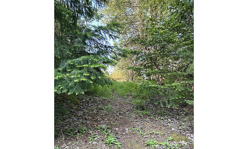 21647 Thacker Mtn Ro...