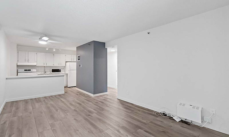 1 Bedroom Suite In W...