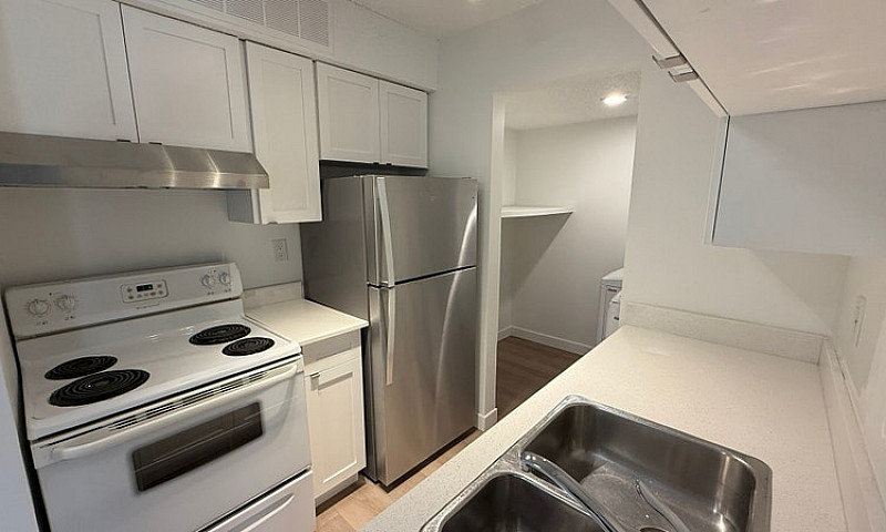 Modern 1 Bed 1 Bath ...