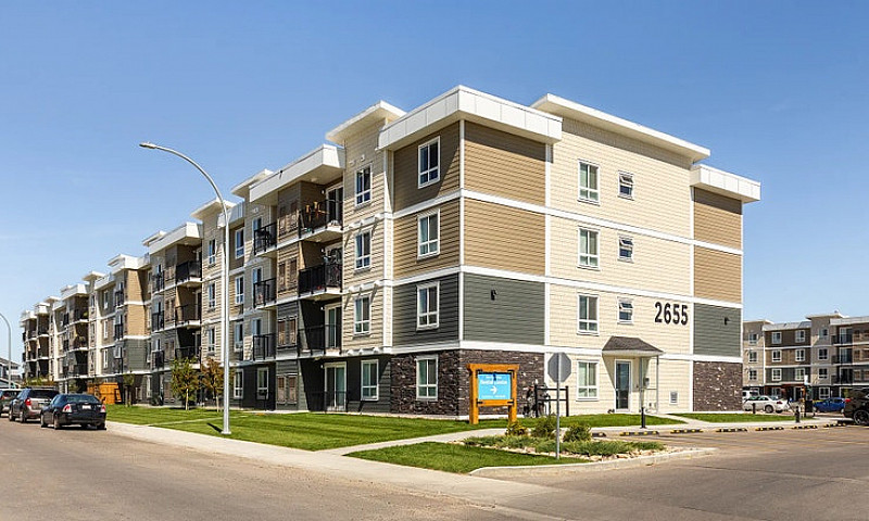 Pet-Friendly Three B...