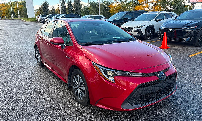 2020 Toyota Corolla ...
