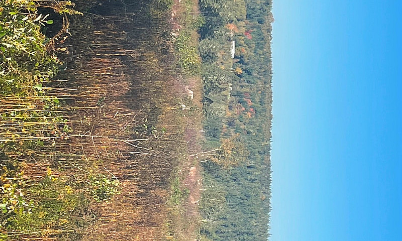 Mclure Rd. (Lot 3), ...