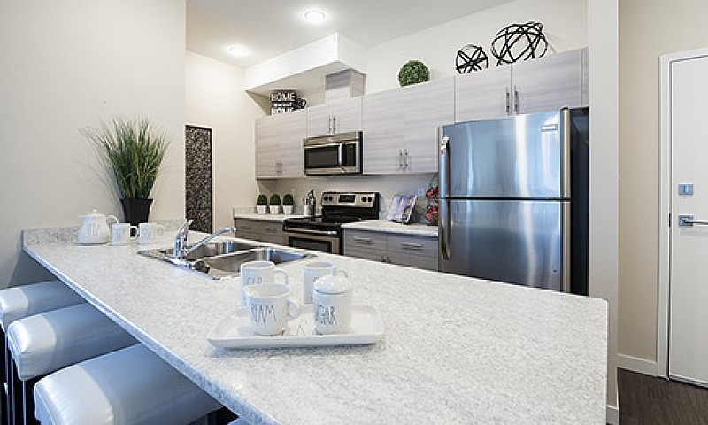 Bachelor Suites For ...