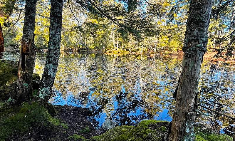 13.95 Acre Riverfron...
