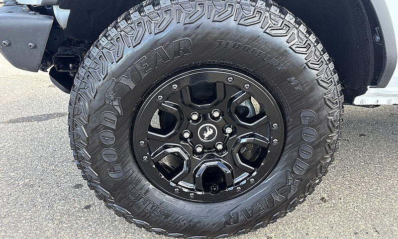 2022 Ford Bronco Wil...