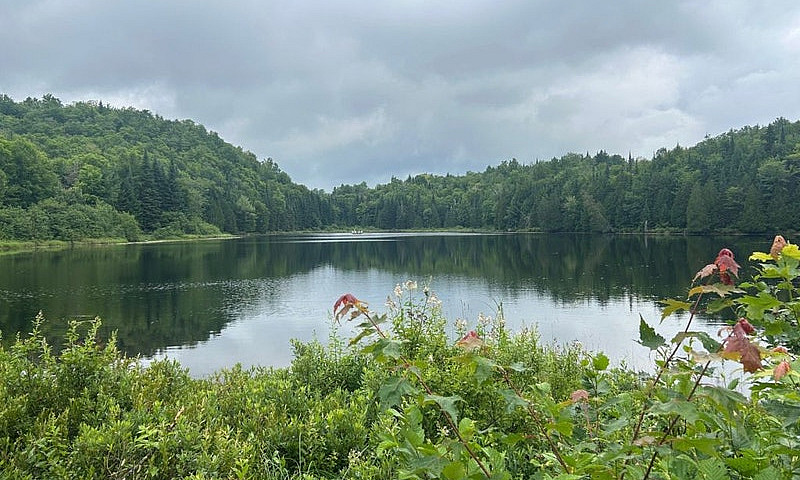 $1,149,000 - Cottage...