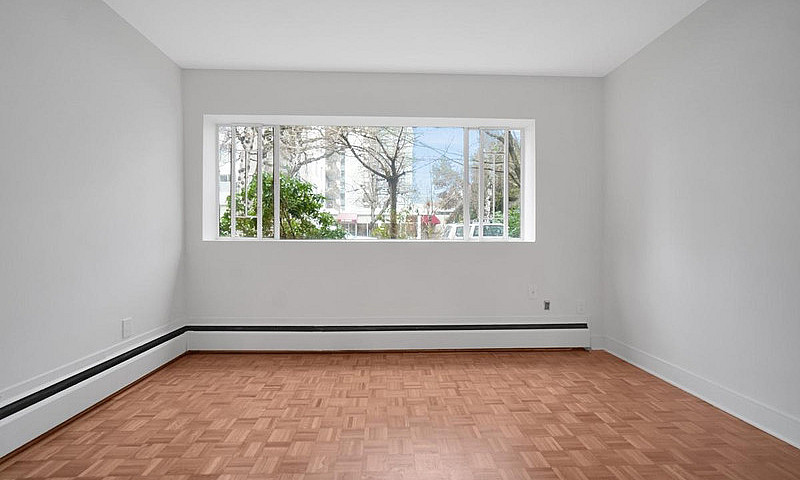 1 Bedroom Apartment ...