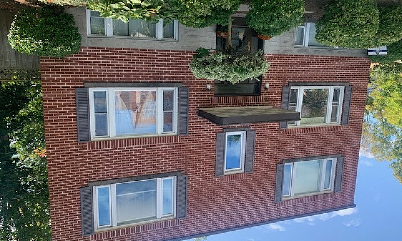 1 Bedroom Apartment ...