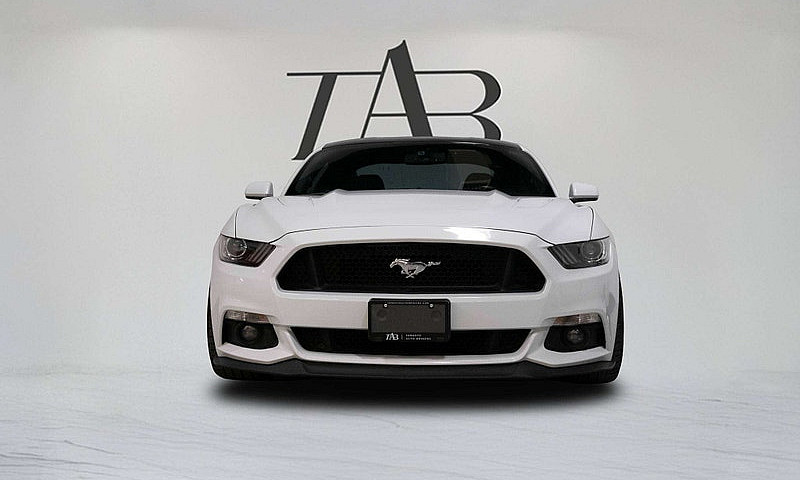 2017 Ford Mustang Pe...