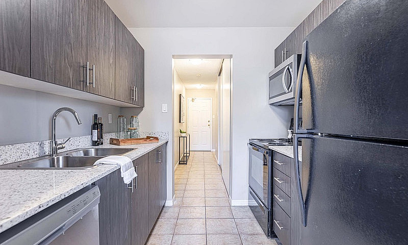 One Bedroom Apartmen...