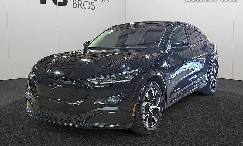 2022 Ford Mustang Ma...