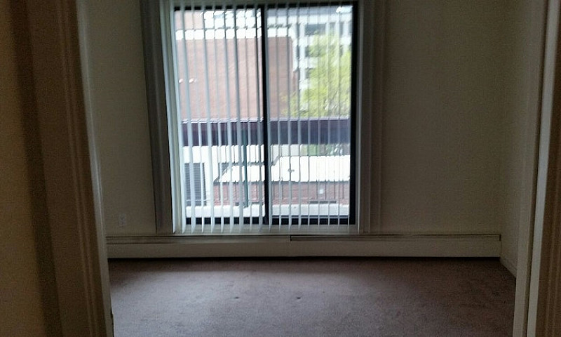 1 Bed 1 Bath Unit In...