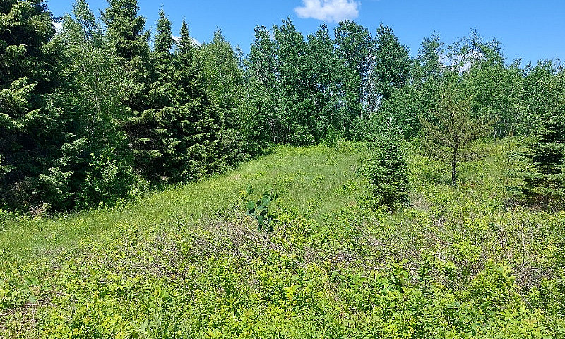2.5 Acre Building Lo...