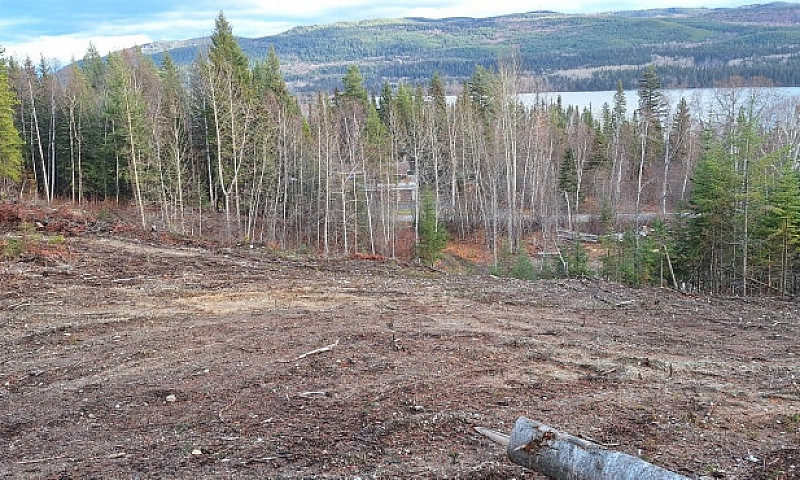 Beautiful 5.17 Acre ...