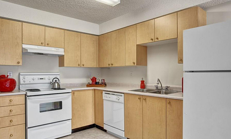 Spacious 1 Bedroom A...