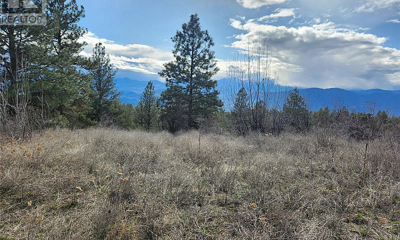 1035 Bullmoose Trail...