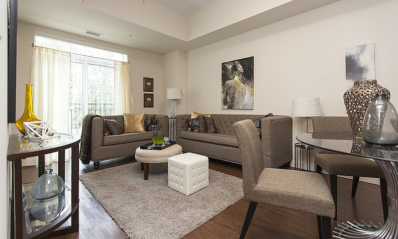 1 Bedroom Apartment ...