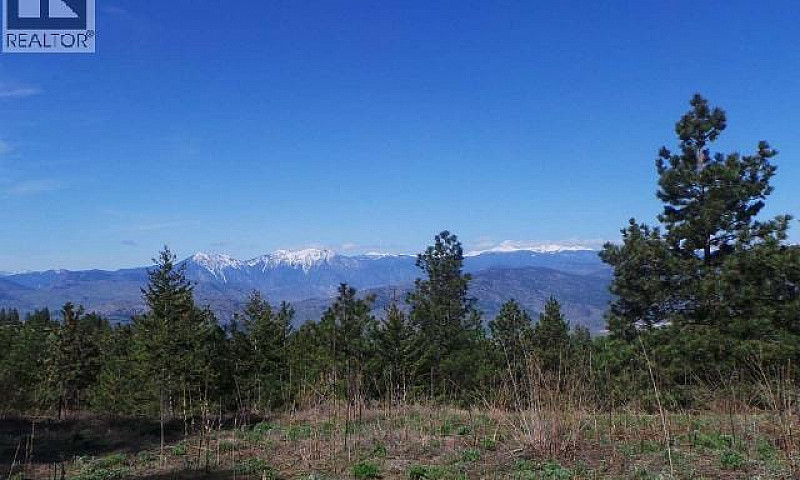290 Mule Deer Drive ...