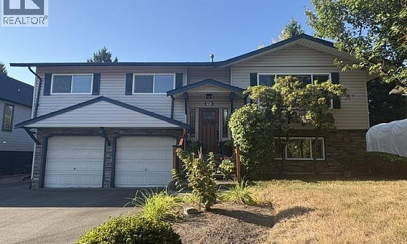 19852 116A Avenue Pi...