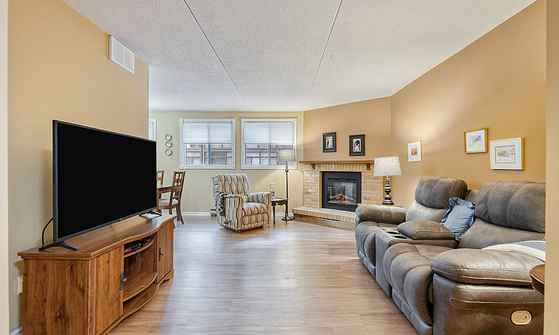 Pet-Friendly Condo I...